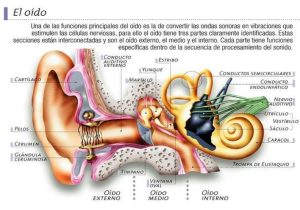 Como detectar problemas auditivos desde casa 2